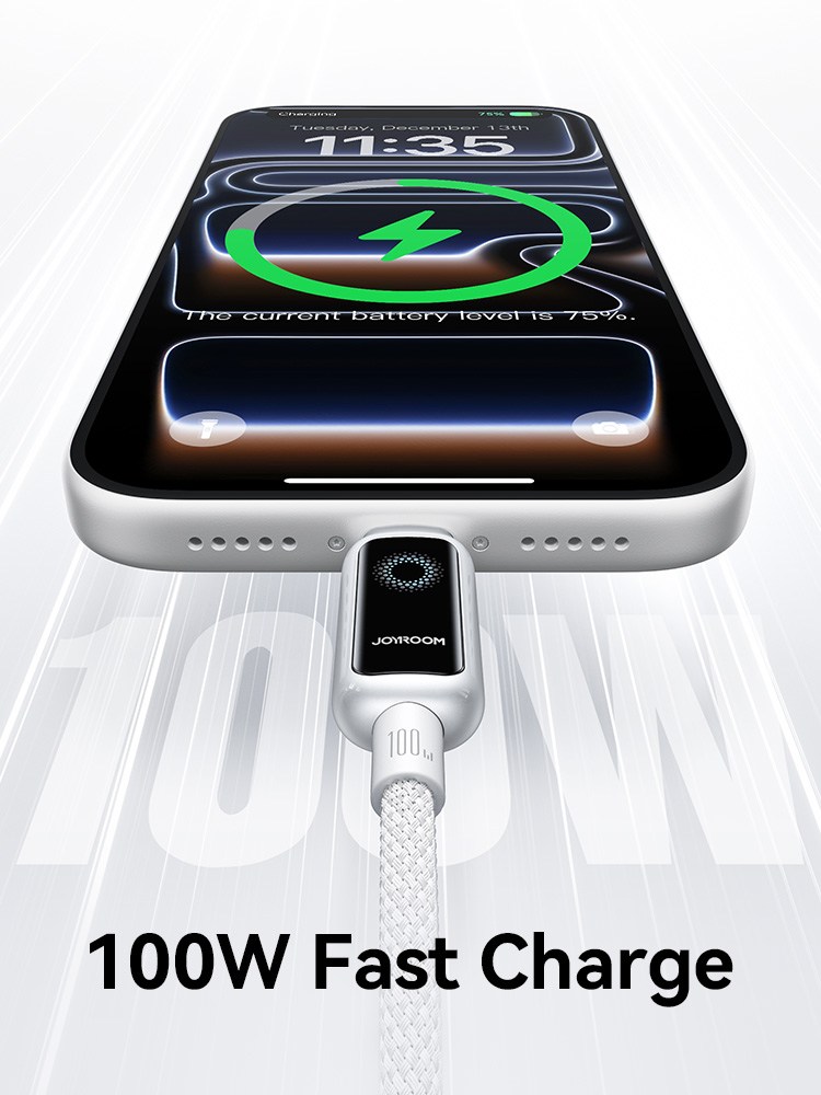 Joyroom 100W USB C Cable Automatic Power Off Fast