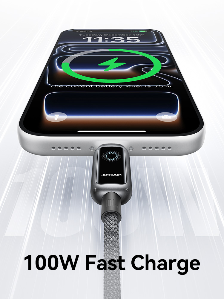 Joyroom 100W USB C Cable Automatic Power Off Fast